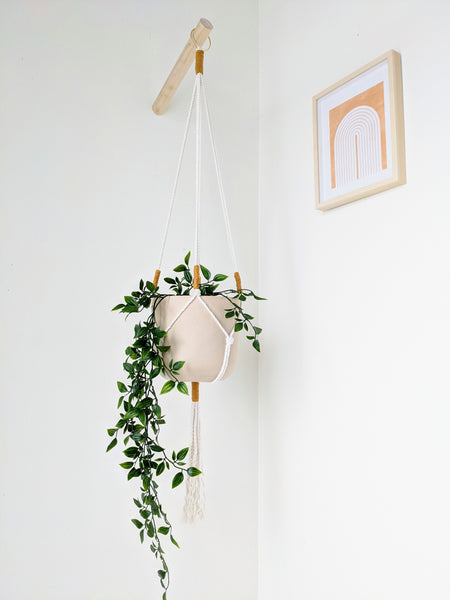 Plant on plant hanger